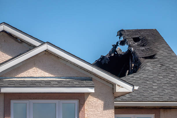 Top rated local Fire Damage Removal specialists in Seattle, WA